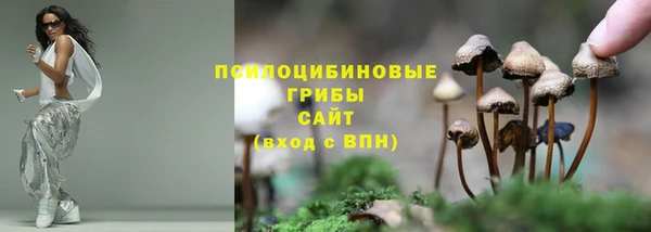 spice Гусиноозёрск