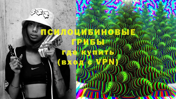 spice Гусиноозёрск
