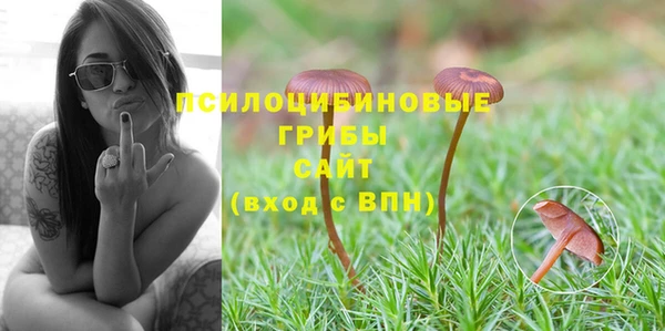 метамфетамин Гусь-Хрустальный