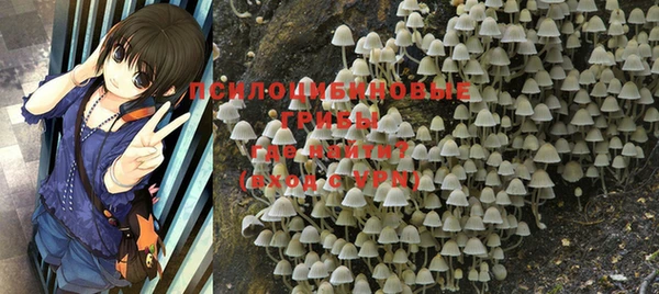 spice Гусиноозёрск